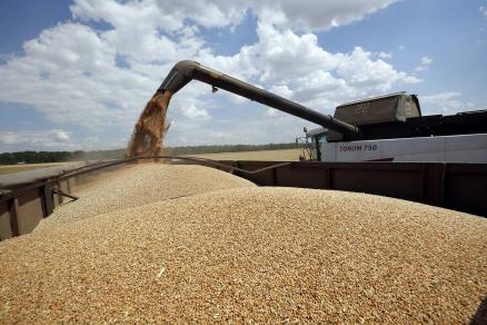 О ставках вывозных таможенных пошлин на зерновые культуры, вывозимые из РФ за пределы ЕАЭС